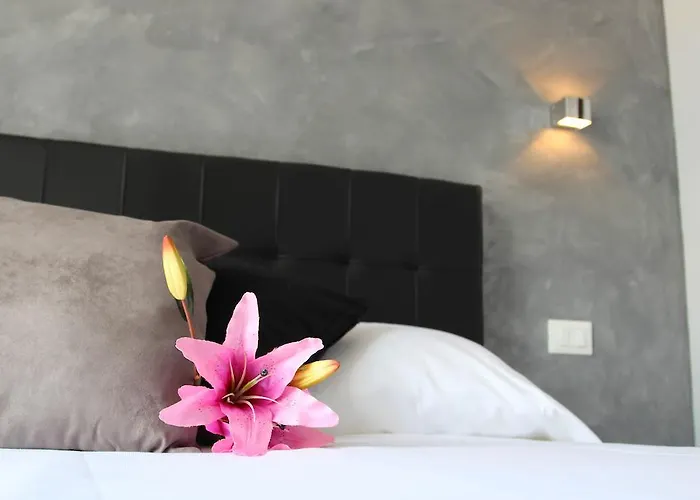 Windows On Couette-café Rome