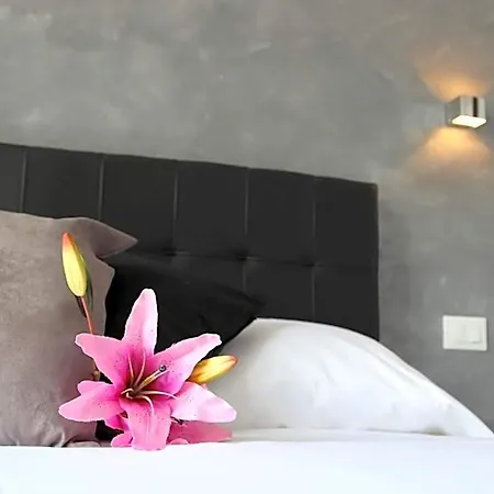Bed & Breakfast Windows On