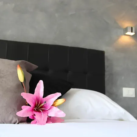 Windows On Bed & Breakfast Rome